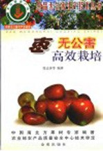 枣无公害高效栽培