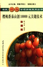 樱桃番茄亩创10000元关键技术  彩插版
