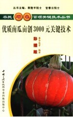 优质南瓜亩创3000元关键技术  彩插版