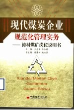 现代煤炭企业规范化管理实务  漳村煤矿岗位说明书