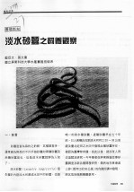 淡水砂蚕之饲养观察