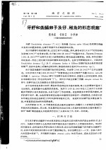 牙鲆和条鳎卵子及仔、稚鱼的形态观察