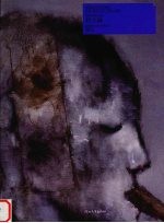 任小林  警幻 电子书封面