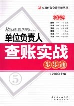 单位负责人查账实战步步通  图解版