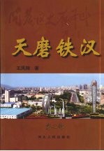 天磨铁汉  第二部