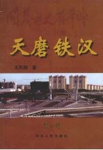 天磨铁汉  第三部