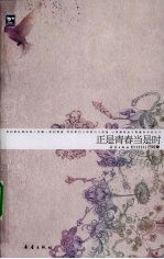正是青春当是时封面