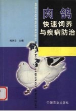 肉鸽快速饲养与疾病防治