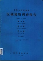 中华人民共和国区域地质调查报告  比例尺1：200000  温州幅  黄岩幅  洞头幅  矿产部分