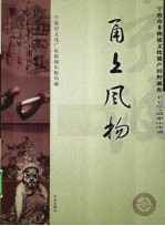 甬上风物  宁波市非物质文化遗产田野调查  北仑区·戚家山街道