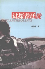 试探着迁徙 封面