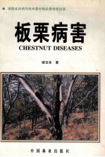 板栗病害