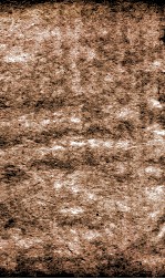 恪靖奏稿续编  65