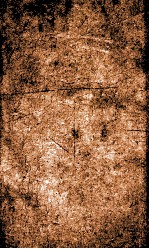 闺媛典  卷139-145