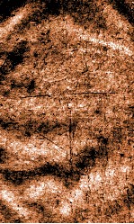 闺媛典  卷183-188