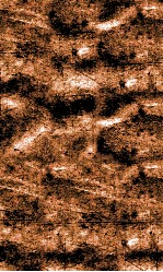 闺媛典  卷196-202