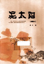 泥太阳  插图本 电子书封面