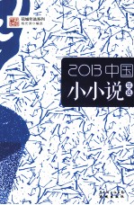 2013中国小小说年选 封面