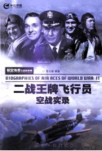 二战王牌飞行员空战实录