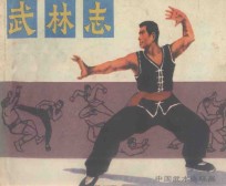 连环画  武林志