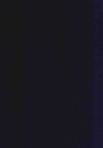 近代中国史料丛刊  第53辑  满清稗史14所闻录15新燕语16燮翼录17暗杀史18清华集