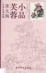实用白描画稿  芙蓉小品