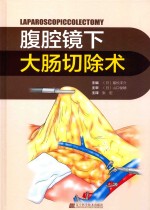 腹腔镜下大肠切除术