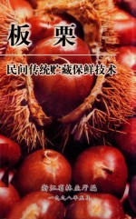 板栗民间传统贮藏保鲜技术