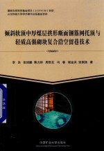 倾斜软顶中厚煤层拱形断面钢筋网托顶与轻质高强砌块复合沿空留巷技术