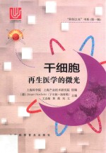 干细胞  再生医学的微光