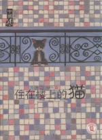 住在楼上的猫