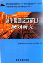 神华集团数字矿山规划研究