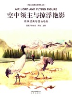 空中领主与掠浮艳影