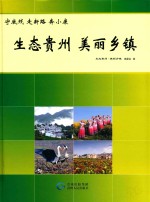 生态贵州  美丽乡镇