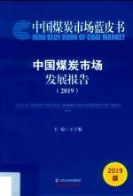 中国煤炭市场发展报告