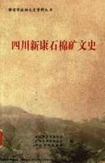 四川新康石棉矿文史