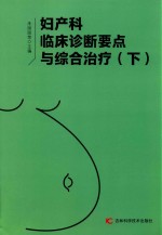 妇产科临床诊断要点与综合治疗  下  第2版