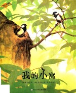 我的小窝
