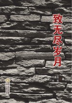 致无尽岁月 电子书封面