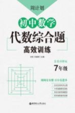 周计划：初中数学代数综合题高效训练（七年级）答案详解版
