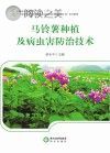 马铃薯种植及病虫害防治技术封面