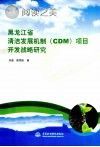 黑龙江省清洁发展机制(CDM)项目开发战略研究封面
