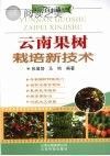云南果树栽培新技术封面